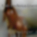 Adult swinger motel country